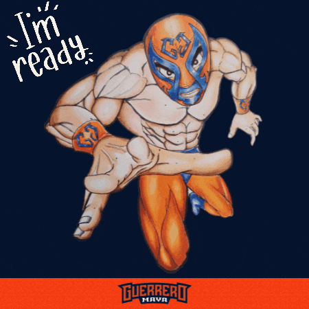 Go Lucha Libre GIF by Guerrero Maya