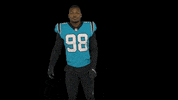 North Carolina Smile GIF by Carolina Panthers