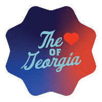 visitmaconGA spinning georgia record music city Sticker