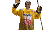 Hockey Cheering Sticker by Vienna Capitals