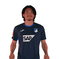 Sport Bundesliga Sticker by TSG Hoffenheim