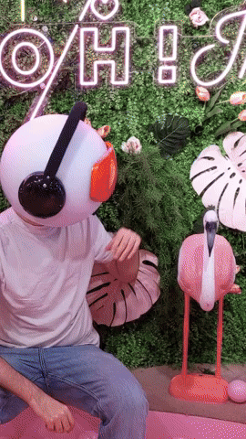 Build Your Own Flamingo Friend