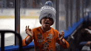 mkeadmirals  GIF