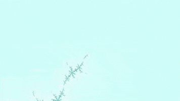 Benoit Mandelbrot Lsd GIF by xponentialdesign