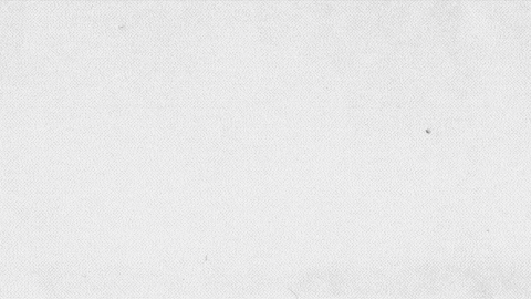 paigedall giphyupload GIF
