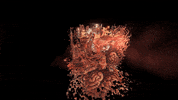 reinbijlsma trippy crypto weird nft GIF
