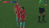 Celebrate Womens Soccer GIF by National Women's Soccer League