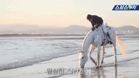 evalee22b1 giphygifmaker GIF