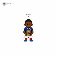 France Ballon Dor GIF