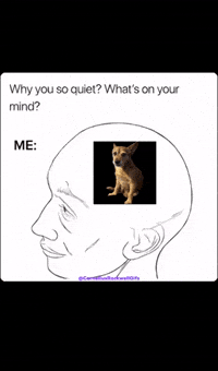 Whats On Your Mind GIF