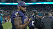 Happy National Football League GIF by Baltimore Ravens