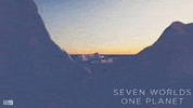 David Attenborough GIF by Channel 9