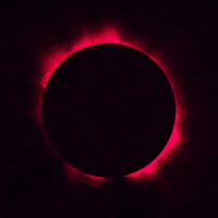 lolalola love chill weed eclipse GIF