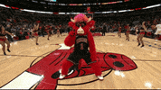excited time out GIF by NBA