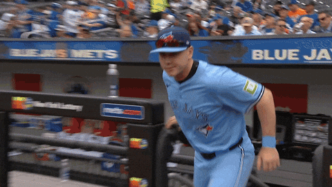 Blue Jays Baseball GIF by Toronto Blue Jays
