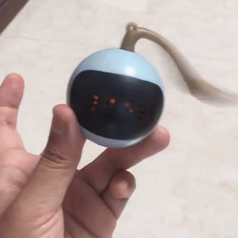 snezanaprebil giphyupload GIF