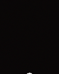 muerdelagrimas  GIF