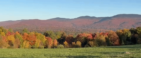 Fall Foliage Nears Seasonal Peak in Vermont