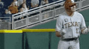 Baseball College GIF by NCAA Championships