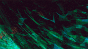 art processing GIF by Adam Ferriss