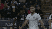 Dance Celebrate GIF by Major League Soccer