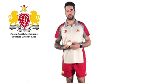 CaseySouthMelbourneCC giphygifmaker swans csmcc caseysouthswans GIF