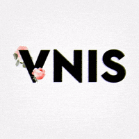 VNIS vnis vnismusic young visionary GIF