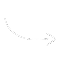 LauraMorgado white seta branco blanc Sticker