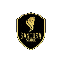 santosastable horse jumping dressage flint Sticker