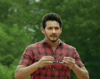 Mahesh Babu Deal With It GIF