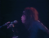 Steven Tyler 1970S GIF by Aerosmith