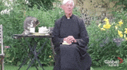 Tea Time Tabby GIF by The Daily Signal