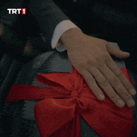Araba Iskender GIF by TRT