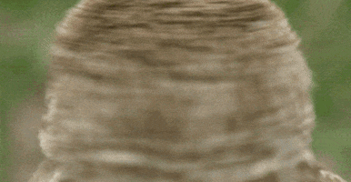 VicVik giphyupload GIF