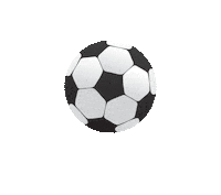 Soccer Shoes Sticker by Sportaways.com