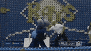 tb GIF by MLB