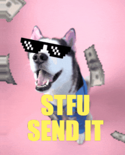 Dog Send It GIF
