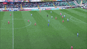 Celebrating League Cup Final GIF by Cliftonville Football Club