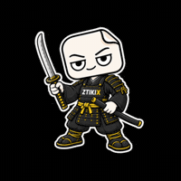 Martial Arts Japan GIF by ZTIKIX
