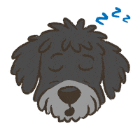 Shaggy Dog Sleep Sticker