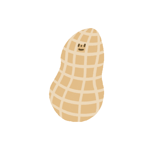 Peanuts Sticker
