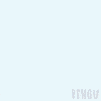 Beauty Penguin GIF by Pudgy Penguins