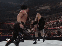 wwe sports wwe wrestling 1999 GIF