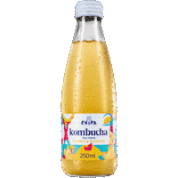 Kombucha Croatia Sticker by ekipa.hr