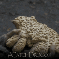 game of thrones hbo GIF by Catch Drogon