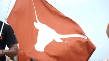 Texas Flag - Rowing