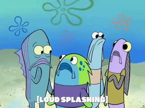 season 6 GIF by SpongeBob SquarePants