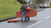 couch GIF