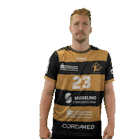 Handball Dresden Sticker by DAIKIN HBL