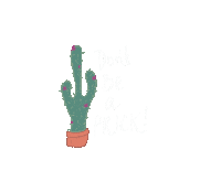Dont Cactus Sticker